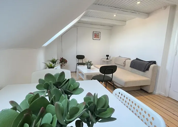Bright And Charming Close To Everything Apartament Aalborg